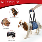 Adjustable strap detail on dog lift support sling
