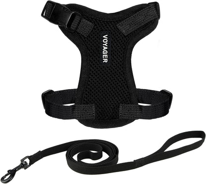 Voyager Escape-Proof Step-in Lock Cat Harness & 5ft Neoprene-Handle Leash Set All-Weather Mesh with Reflective Stitching for Small to Large Cats by Best Pet Supplies, Lime (327), XS - Image 14