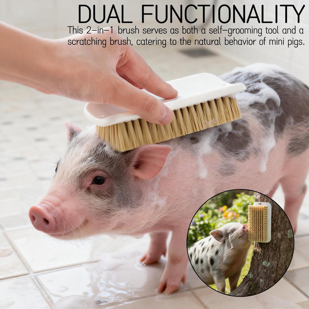 Tizee stationary pig scratcher brush pack of two showing durable animal safe bristles.