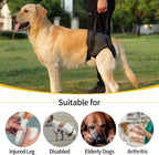 Heywean orthopedic dog support harness showing the bathroom-friendly groove design