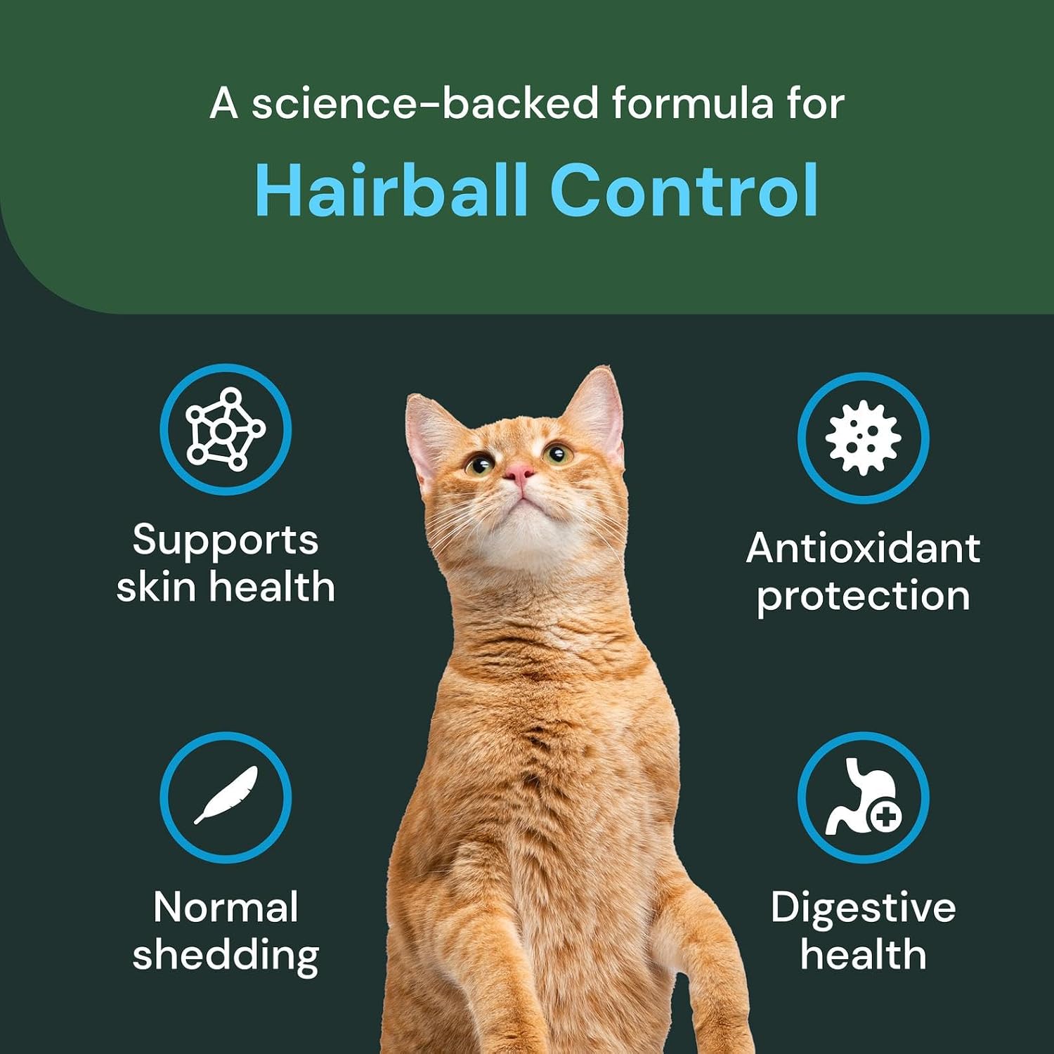 VetriScience cat hairball and digestion support supplement for heavy shedding long haired breeds