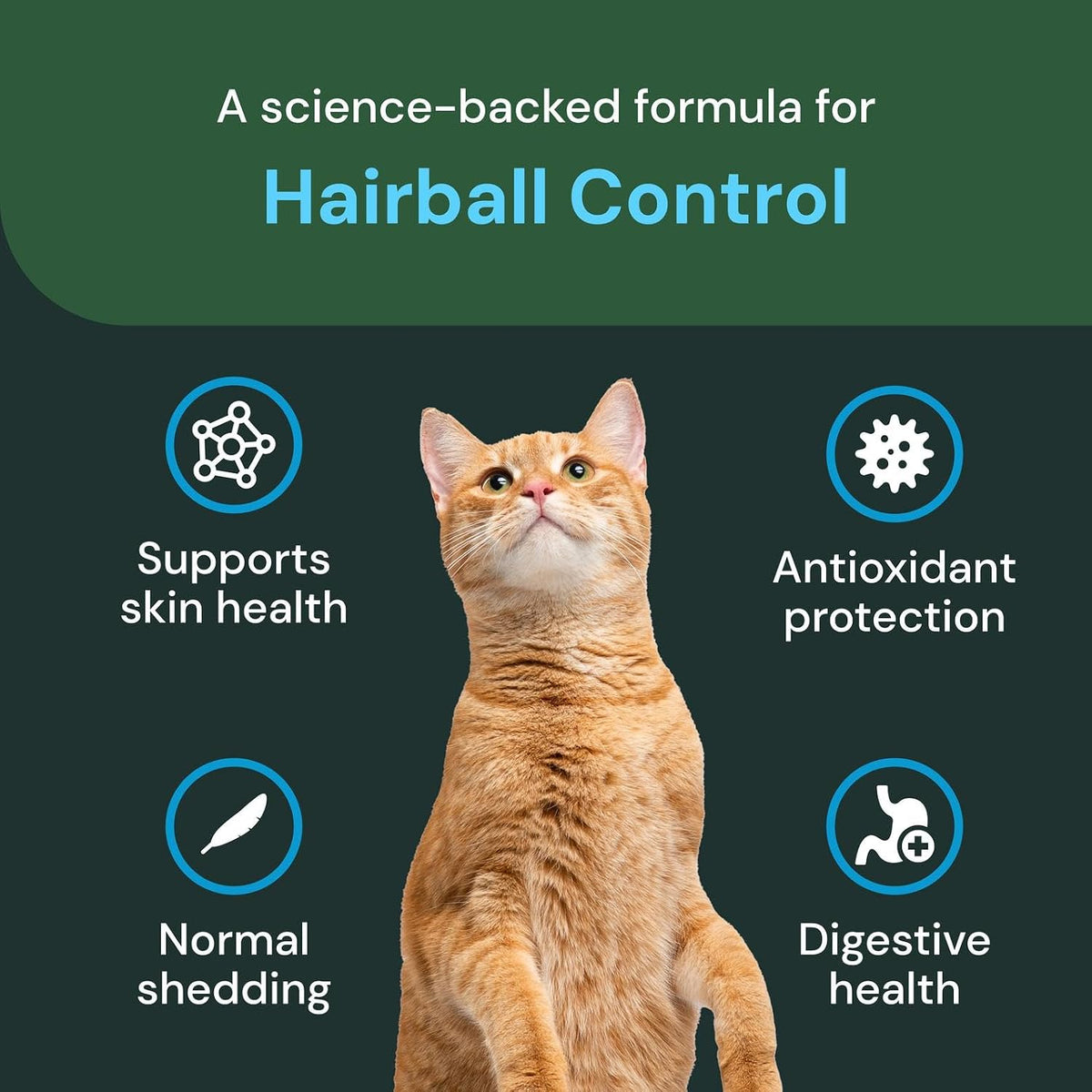 Chicken flavored hairball control supplement container for cats
