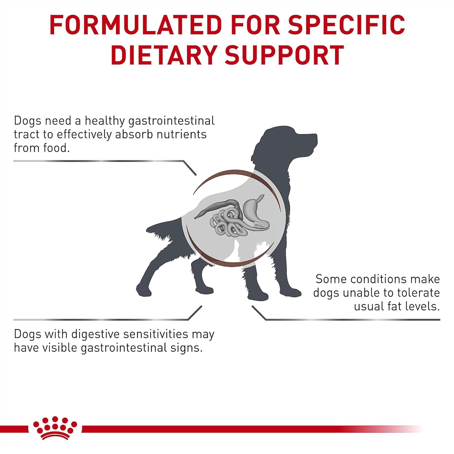 Royal Canin prescription dry food for adult dogs with sensitive digestion and fat intolerance.