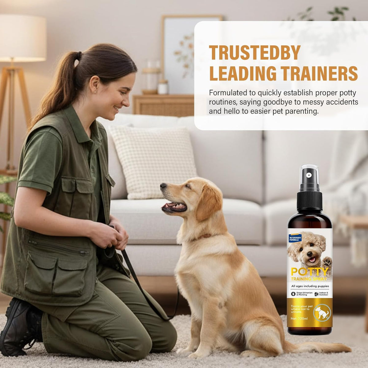 Premium 120ml pet elimination corrector spray for indoor and outdoor household training