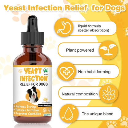 Herbal allergy and inflammation relief drops for canines