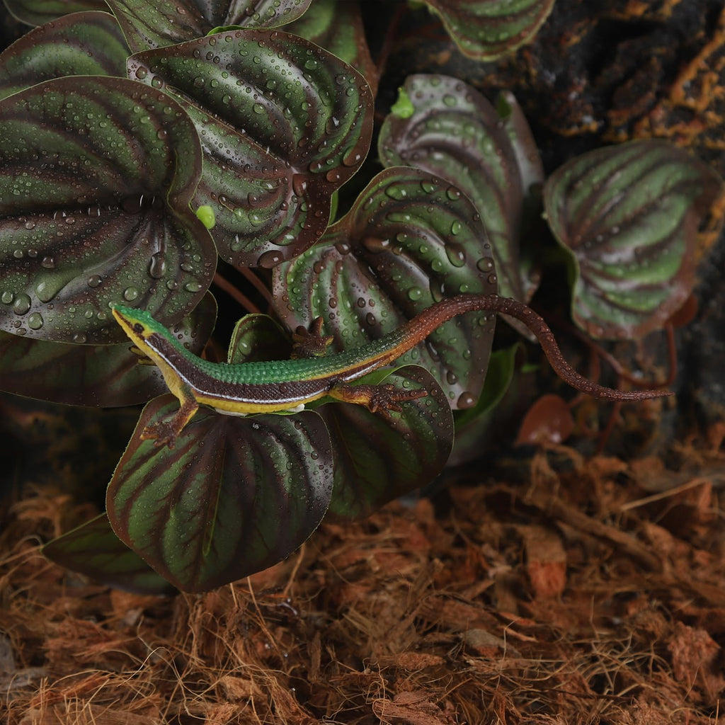 Detailed view of the resin rock base for stability
