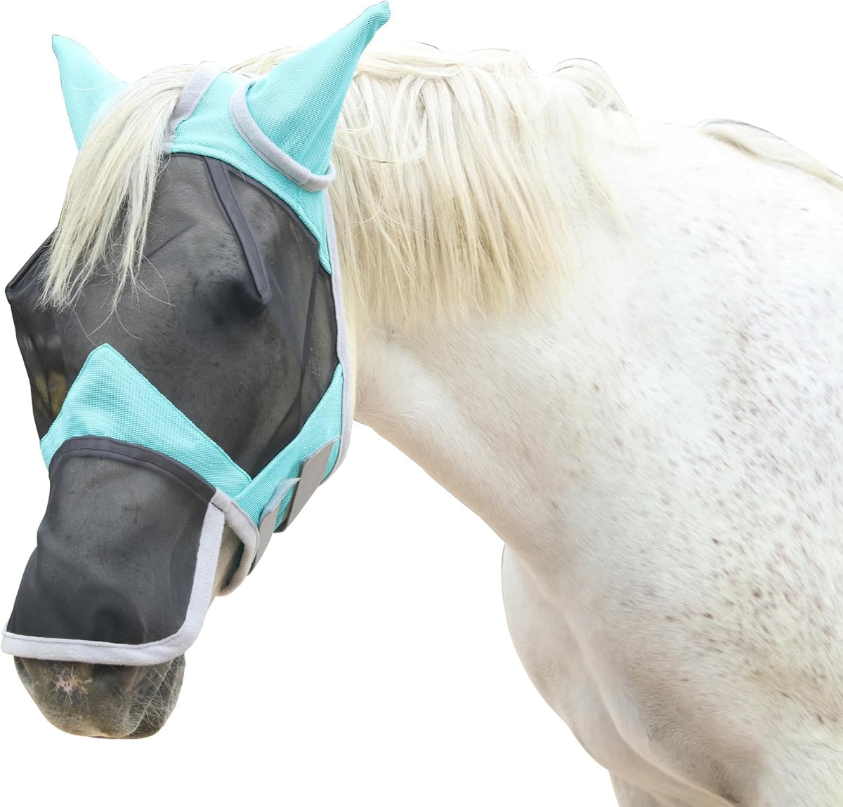 Gallopoff Horse Fly Mask with Ears and Long Nose in Turquoise front view