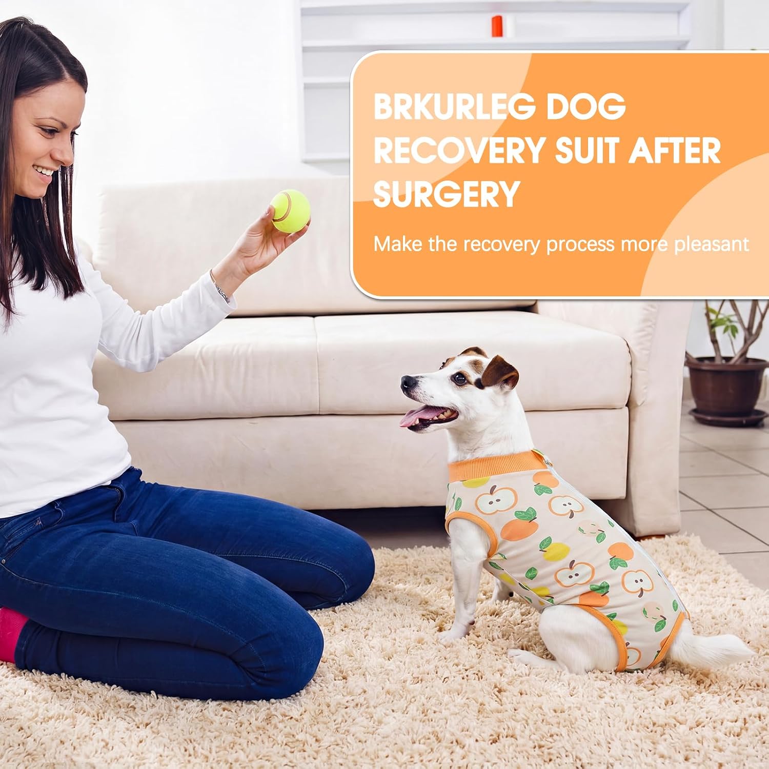 Dog comfortably sitting in post surgery recovery suit