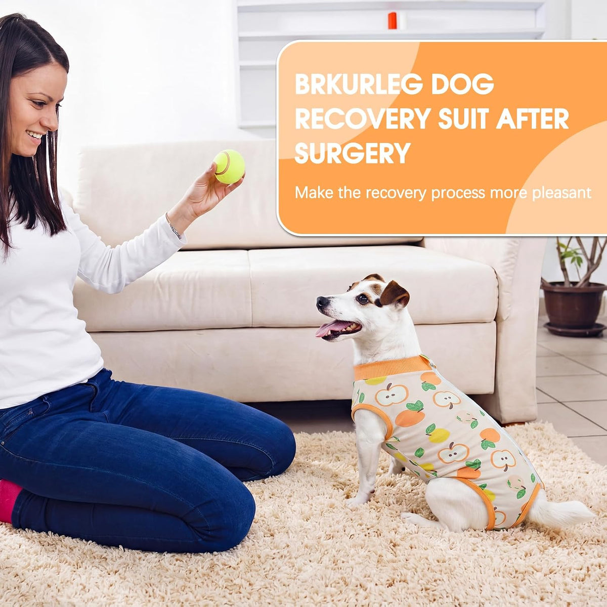 Dog comfortably sitting in post surgery recovery suit