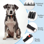 DFQ adjustable dog prong collar unbuckled flat view