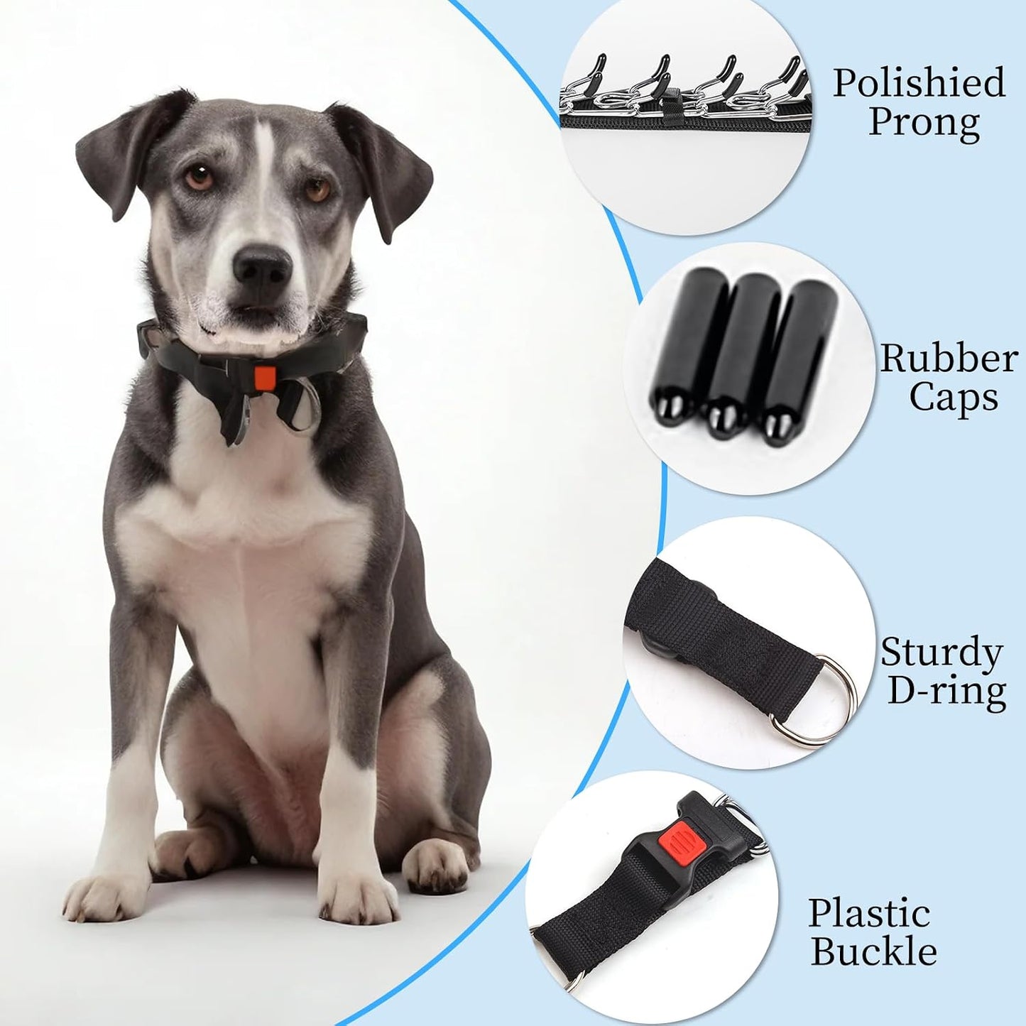 DFQ adjustable dog prong collar unbuckled flat view