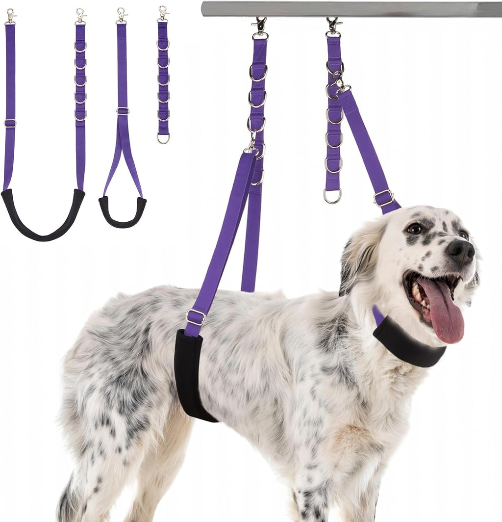 Discpetsec dog grooming belly strap violet front view