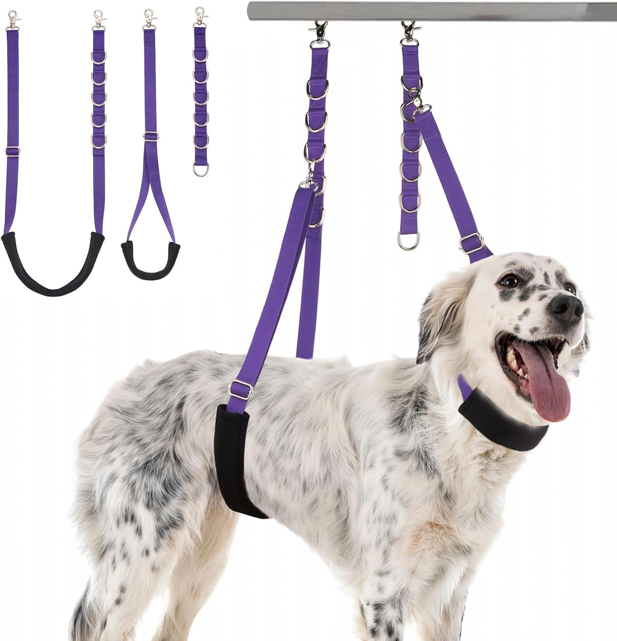 Discpetsec dog grooming belly strap violet front view