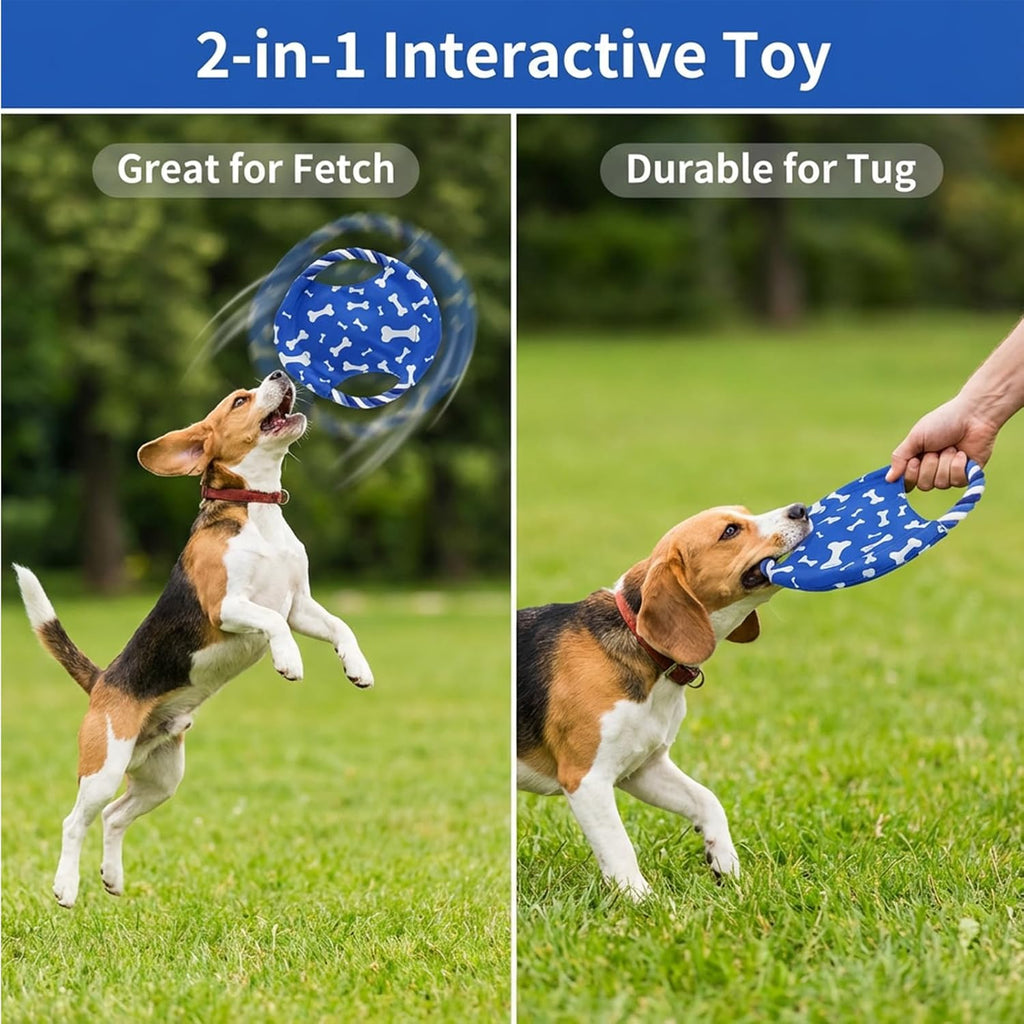 Small dog playing fetch with Calibonbon rope disc toy