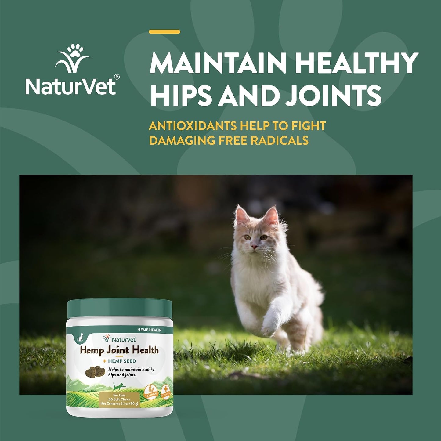 Soft chews for cat mobility and joint support