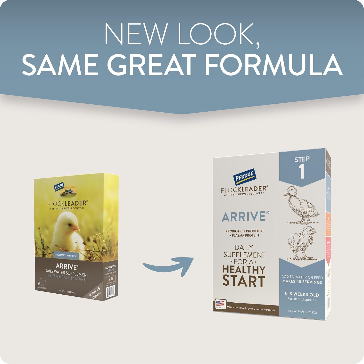 USA imported FlockLeader Arrive powder supplement for chicks zero to eight weeks old
