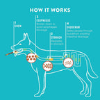 TRURANCH digestible beef gelatin collagen rolls for medium dogs