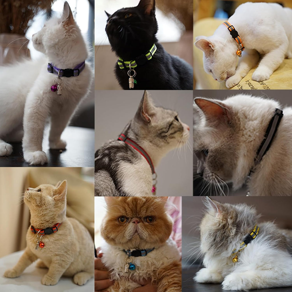 Assorted rainbow color selection of 12 distinct cat collars laid flat.
