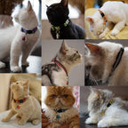 Assorted rainbow color selection of 12 distinct cat collars laid flat.