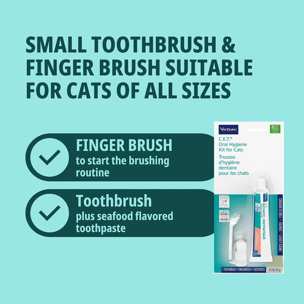 Side angle view of the complete cat dental starter kit components