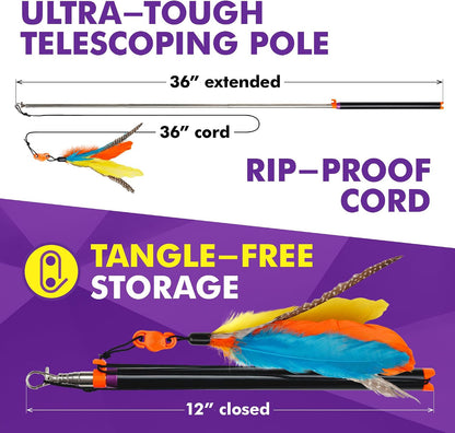 Cat Amazing Snatch wand with a domestic cat pouncing on the magnetic feather attachment