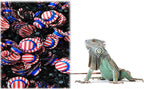 Bearded dragon costume with adjustable strap details visible