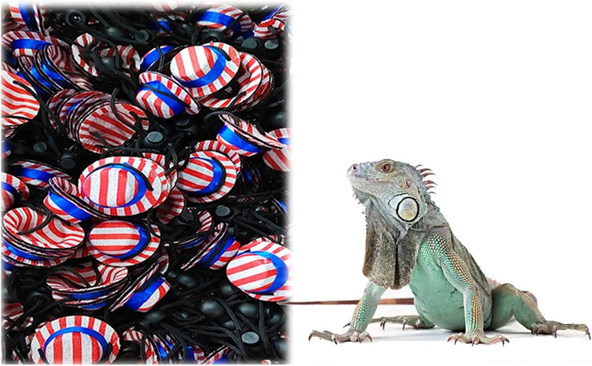 Bearded dragon costume with adjustable strap details visible