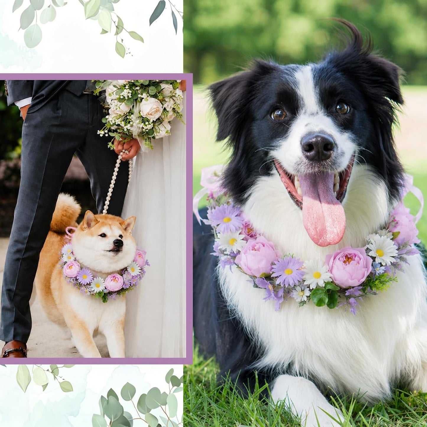 Slcinwzdt dog flower collar and leash set worn by a medium sized dog at an outdoor marriage photo shoot.