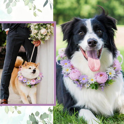 Slcinwzdt dog flower collar and leash set worn by a medium sized dog at an outdoor marriage photo shoot.