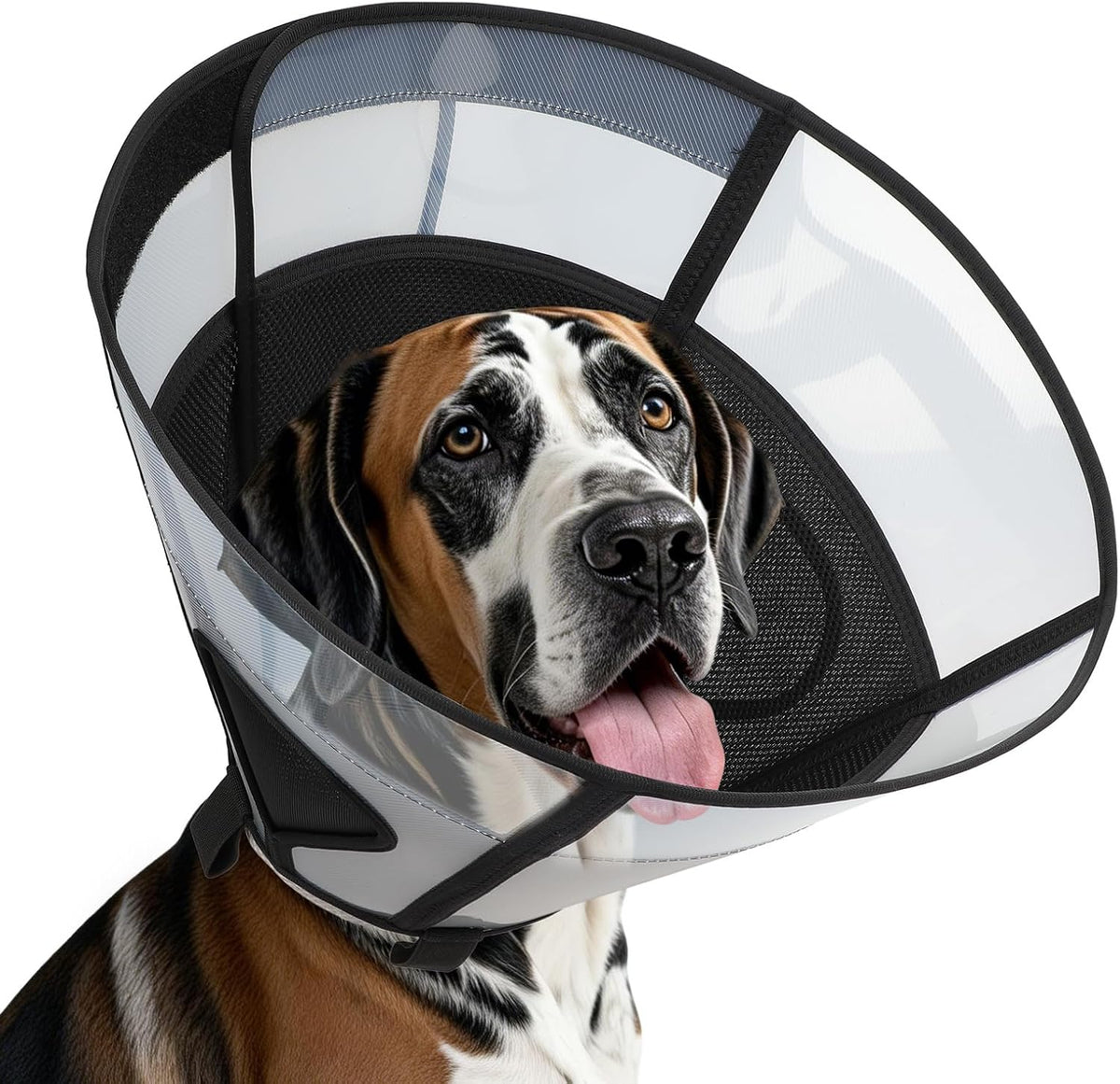 Soft Dog Cone Collar for Large Dogs, Mesh Windows Transparent E Collar for Dog, Anti-Bite Lick Wound Healing After Surgery Neuter Safety Practical Comfy Plastic Cone (Black, L) - Image 10