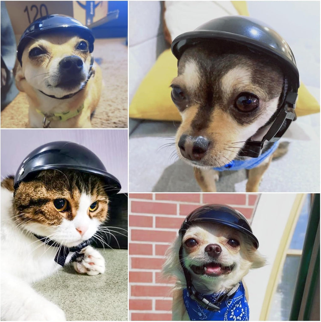 Enjoying small dog motorcycle helmet side profile
