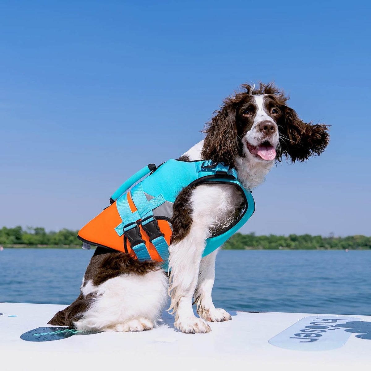 Waterproof ripstop fabric pet flotation device close up