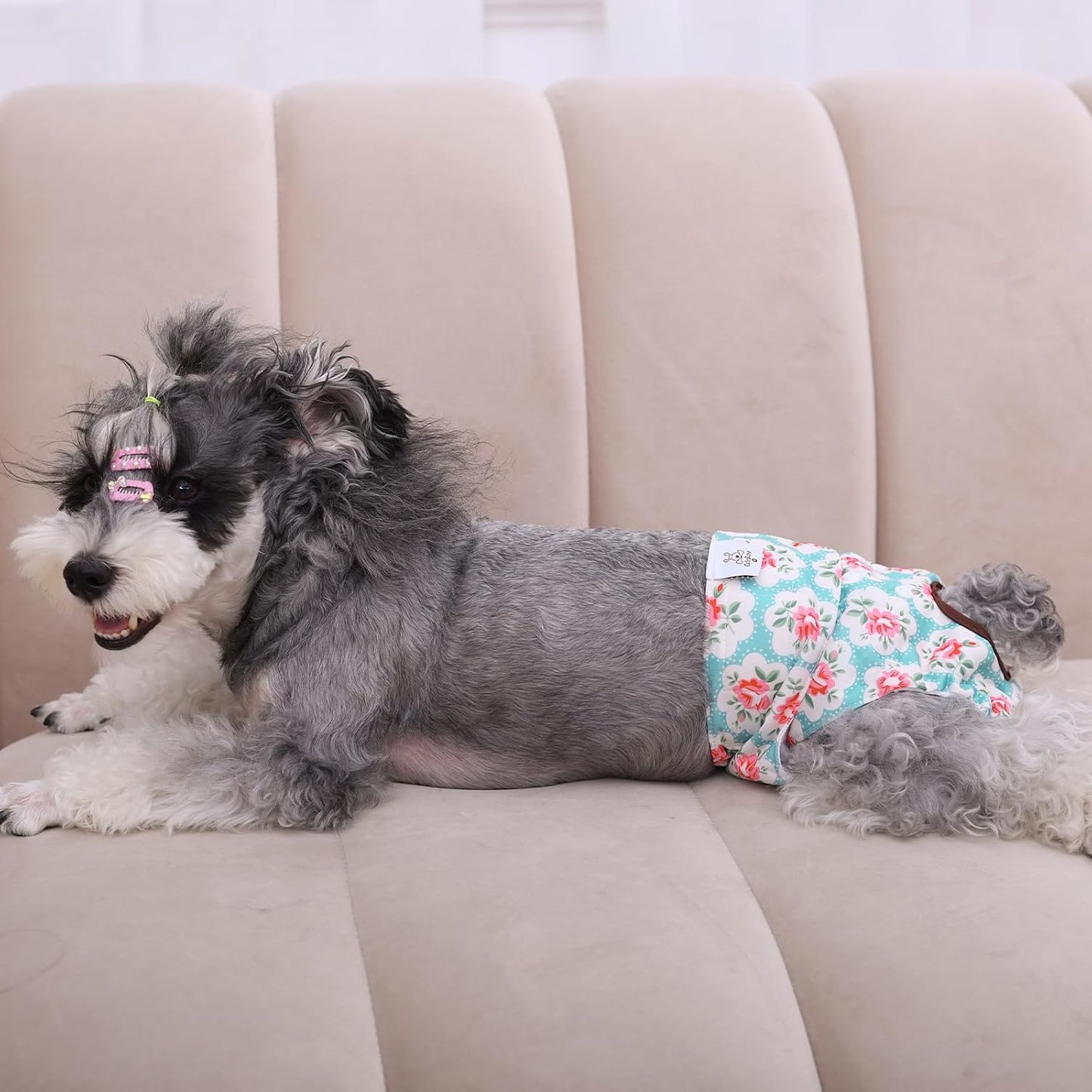 CuteBone floral pattern female dog diapers waterproof outer material texture
