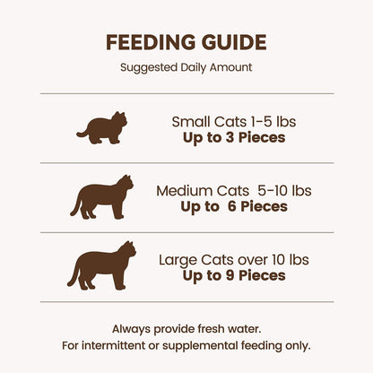 Heckin Yum 2.5 ounce pet snacks jar showing authentic product seals.