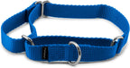 PetSafe Martingale Dog Collar Small, 3/4 Inch, Royal Blue - Image 10