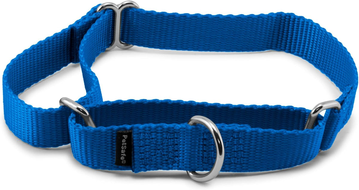 PetSafe Martingale Dog Collar Small, 3/4 Inch, Royal Blue - Image 10