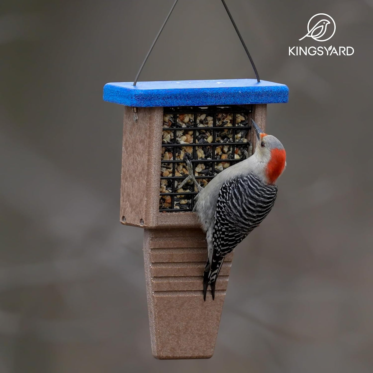 Kingsyard Suet Bird Feeder with Tail-Prop - Image 9