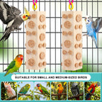 Uyoupet 2 pack hanging bird toy for budgies and conures