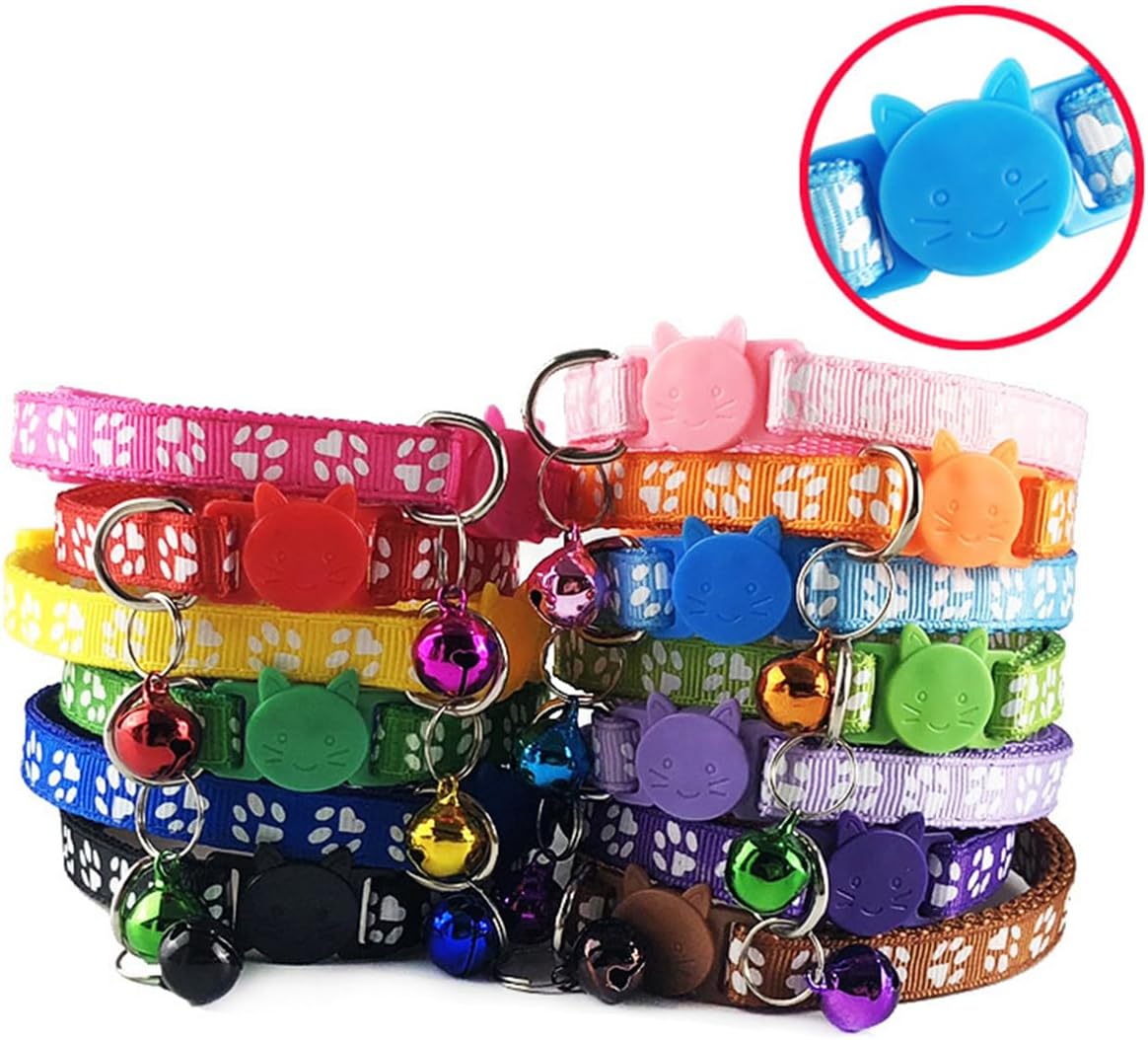 Demonstration of the adjustable strap feature on the PSPORT red breakaway kitten collar