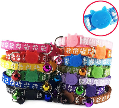 Demonstration of the adjustable strap feature on the PSPORT red breakaway kitten collar