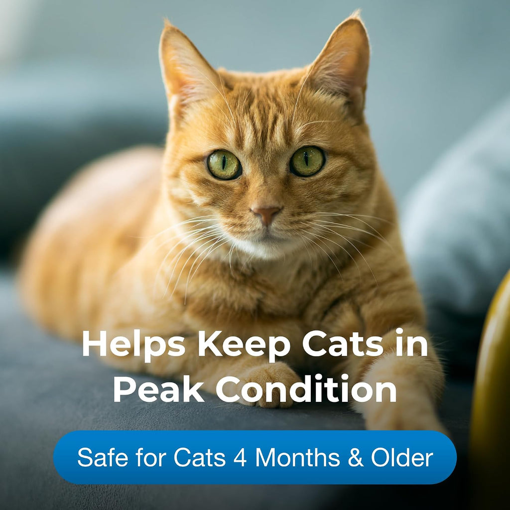 Close up of PetAg feline vitamin gel packaging details