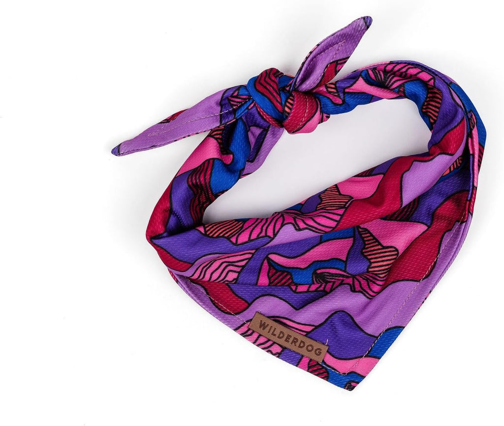 Wilderdog Dog Bandana with Lightweight Quick Drying Poly-Blend Mesh Material in Cowpoke - Image 15