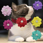 Lightweight chiffon fabric pet collar flower accessories for festive pet styling