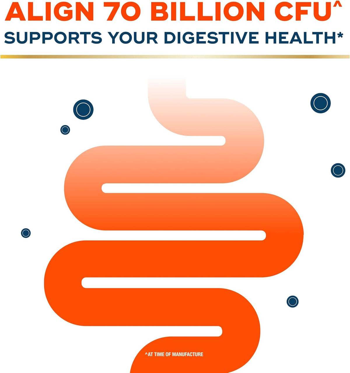 Align Probiotic 6 strain blend capsule details