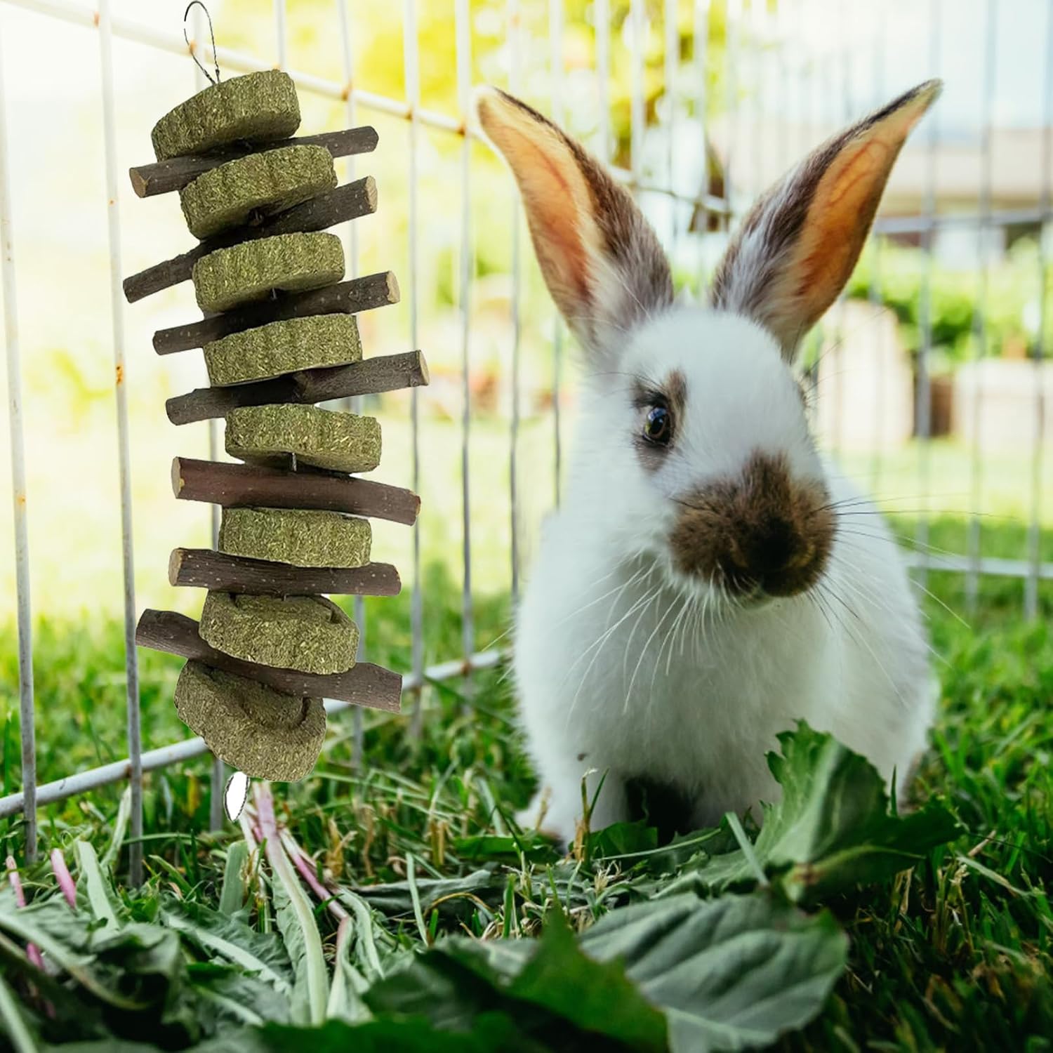 Healthy timothy grass and sweet bamboo treats for small animal dental care