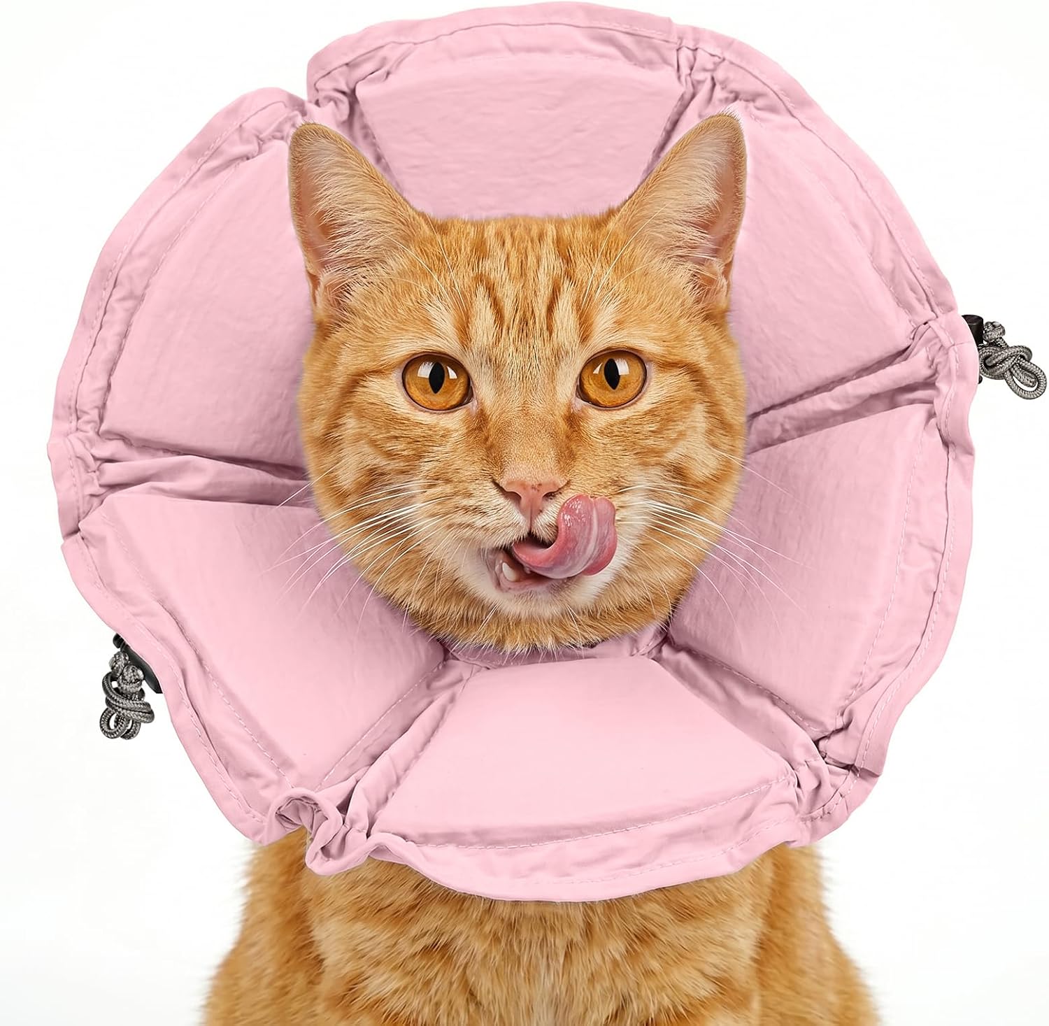 Cat Cone Collar Soft, Adjustable Elizabethan Collar for Cats to Stop Licking, Comfortable Lightweight Kitten Cone for Wound Healing and Surgery Recovery,S - Image 12