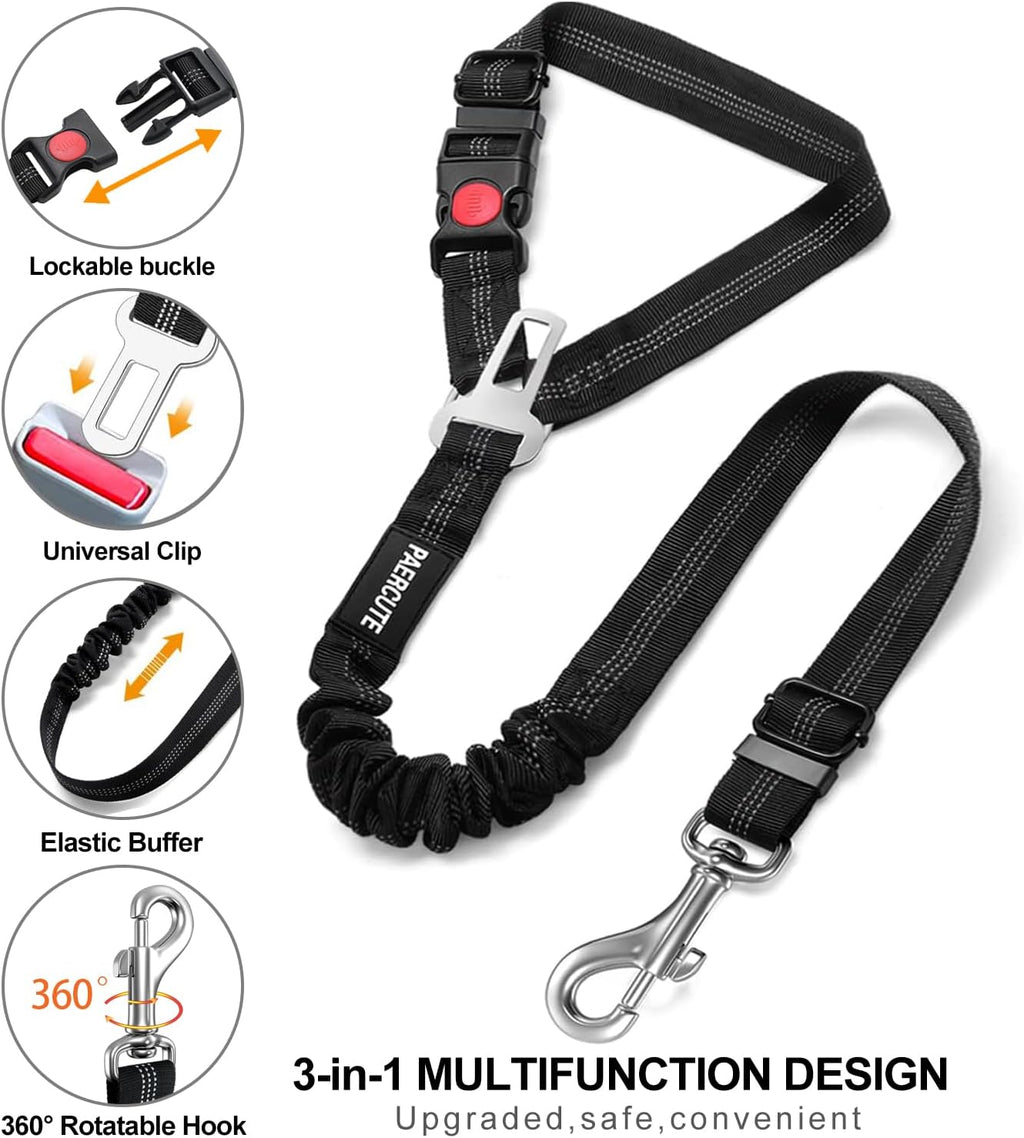 Close up of 360 degree rotating swivel clasp on dog seat belt
