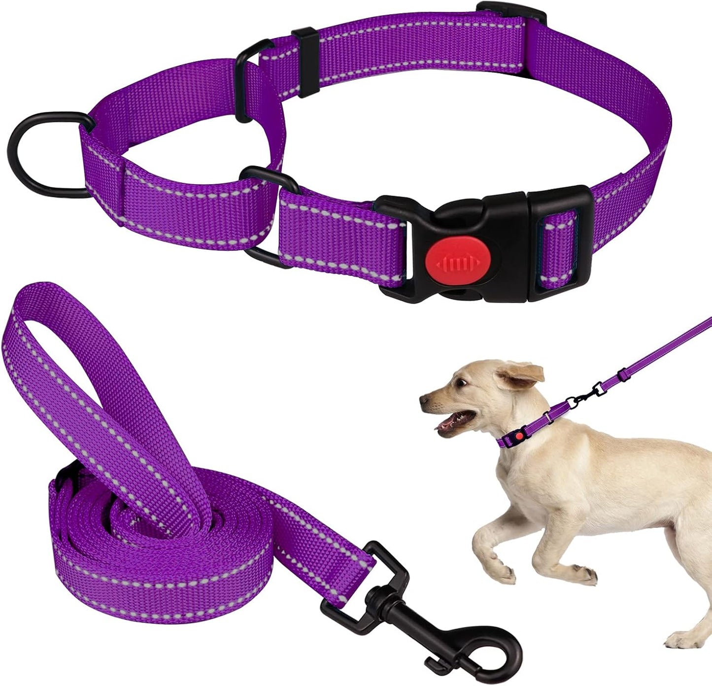 Martingale Dog Collar and Leash Set Martingale Collars for Dogs Reflective Martingale Collar for Small Medium Large Dogs(Hot Pink&L) - Image 13