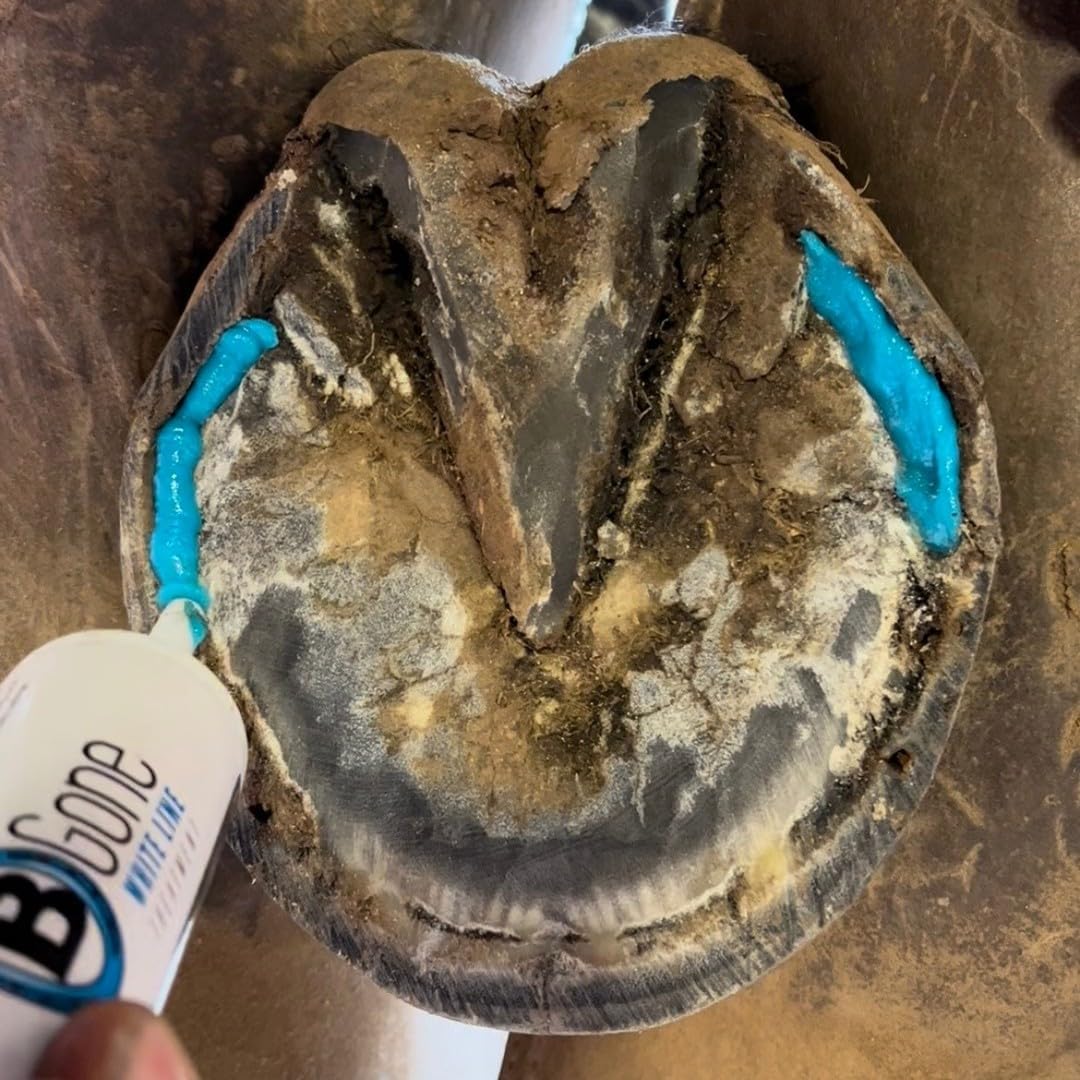 B Gone equine health care product packaging showcasing premium hoof defense ingredients.