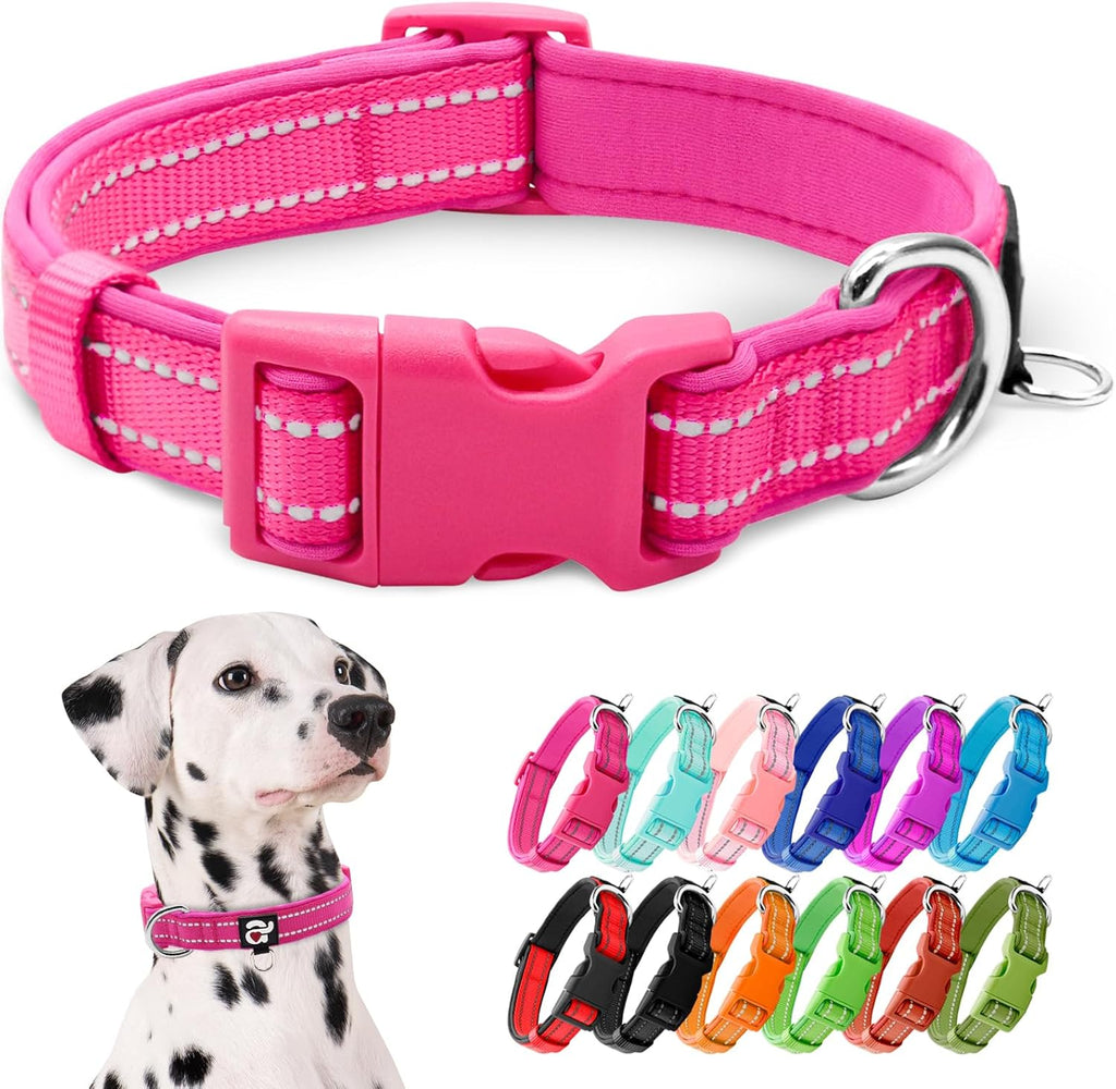 Small dog wearing pink neoprene padded collar